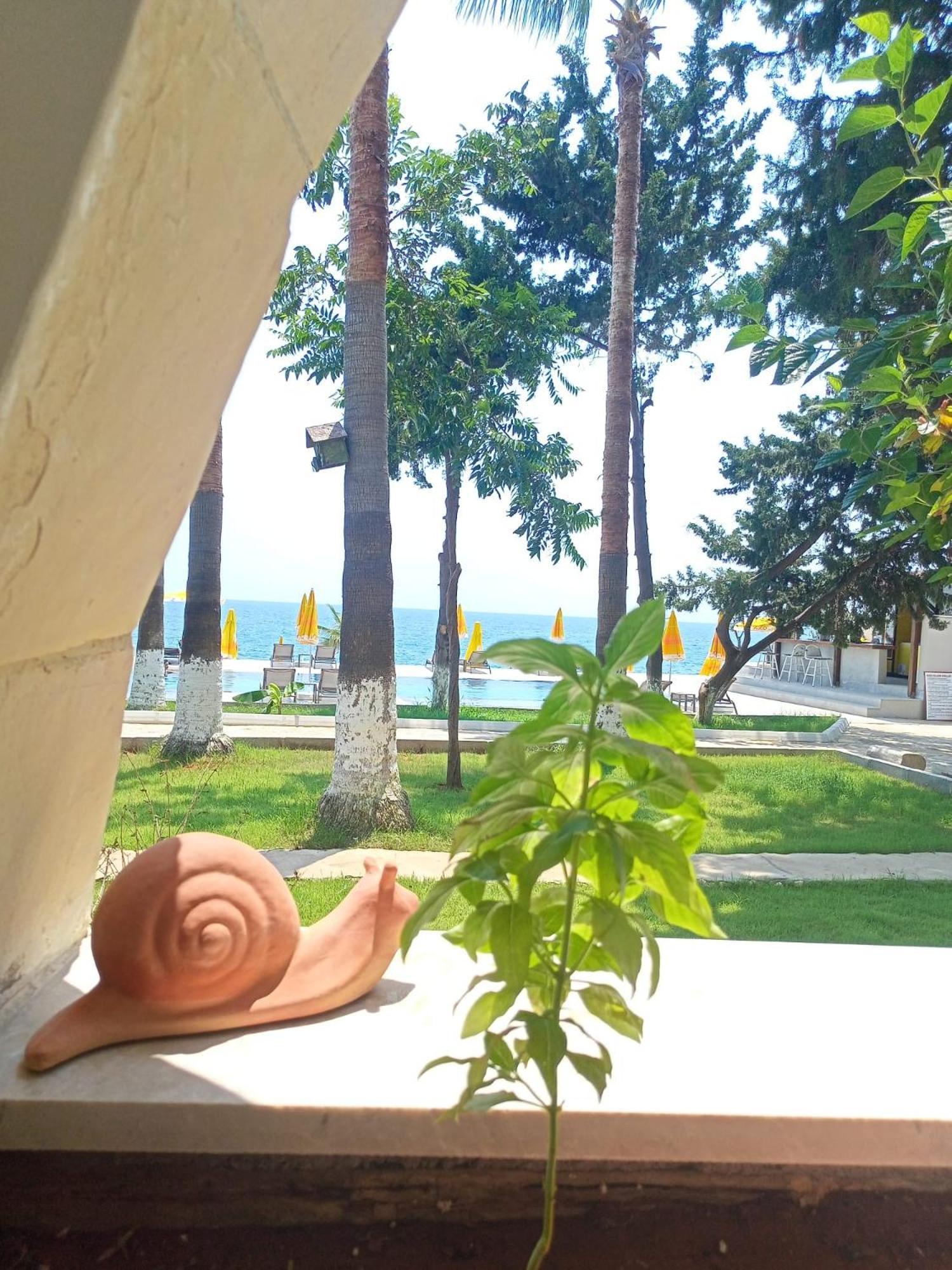 Casalita Hotel Kızkalesi Dış mekan fotoğraf